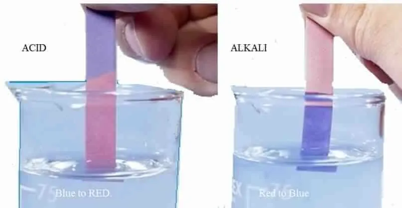 Kết quả thử nghiệm thực tế giấy quỳ tím với dung dịch có tính axit và bazơ