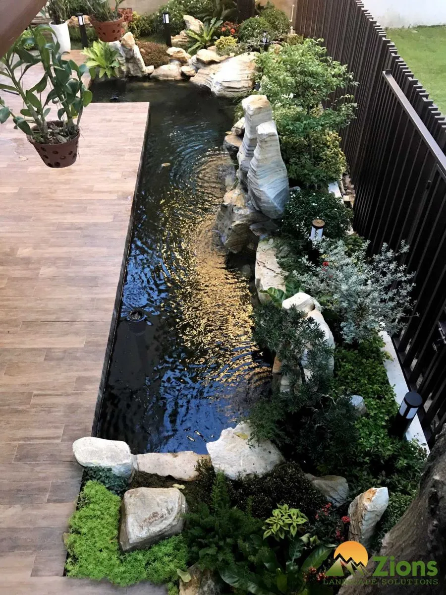 Hồ cá Koi phong cách nhiệt đới tại Quận 9 TP HCM