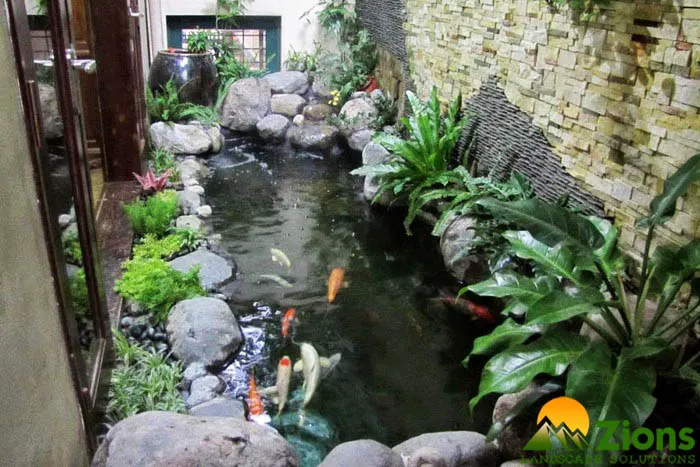 Hồ cá Koi trên Penthouse phong cách tối giản