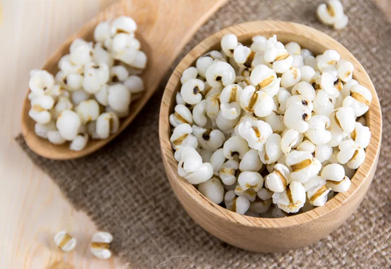 Giá trị dinh dưỡng của bobo (Daphnia) giúp cá cảnh phát triển toàn diện