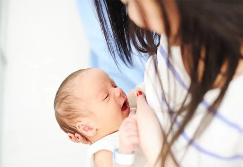 Hướng dẫn thu hoạch và bảo quản bobo đã nuôi