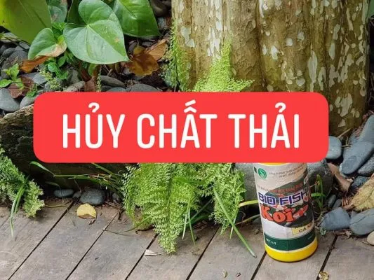 Khả năng phân hủy chất hữu cơ và cặn bã hiệu quả của vi sinh