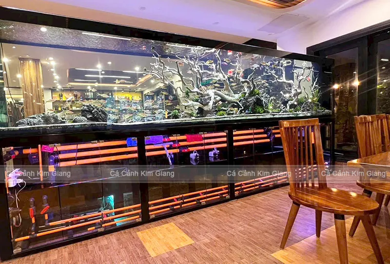 Một bể công nghệ mới dài 4m