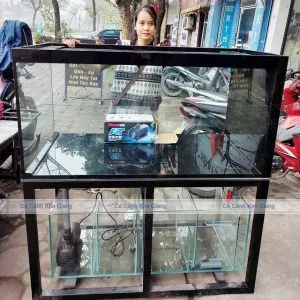 Thiết kế bể cá cảnh đẹp kích thước 1m2 sử dụng hệ thống lọc tràn dưới hiệu quả