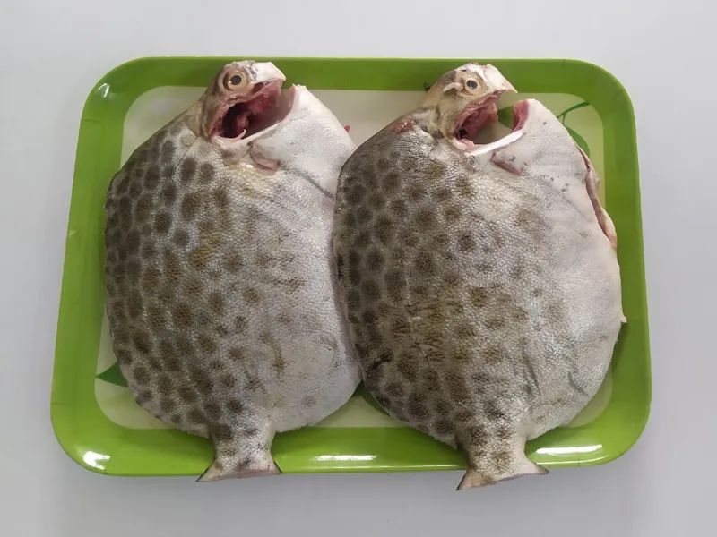 Cá nâu đã được làm sạch, sẵn sàng chế biến