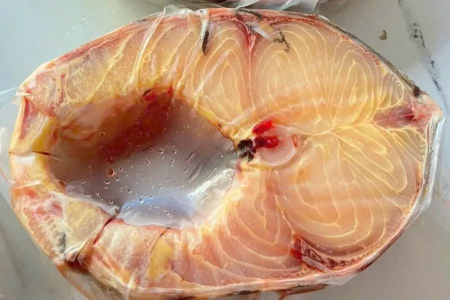 Cá Trà Sóc (Probarbus Jullieni) - một loài cá nước ngọt khổng lồ và quý hiếm