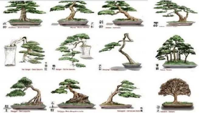 Nghệ nhân tạo dáng cho cây bonsai là một quá trình làm việc tâm huyết