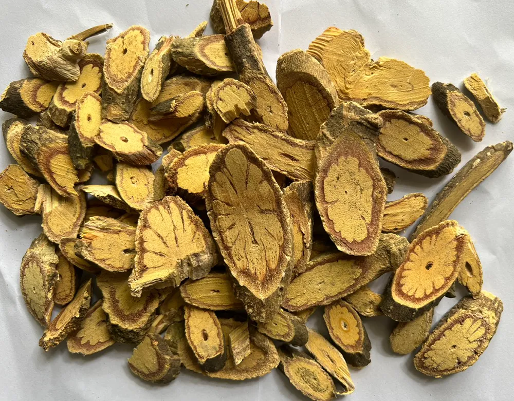 Cây kha cúc (Terminalia chebula)