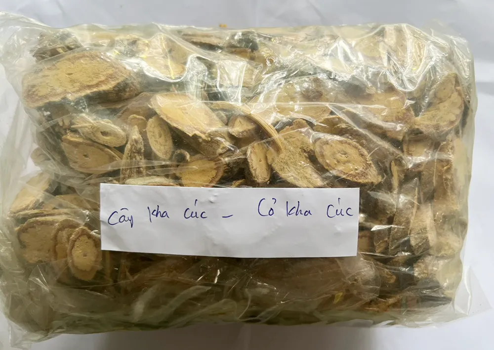 Quả Kha Cúc khô