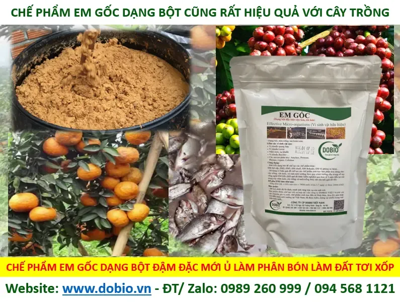 Chế phẩm EM Gốc dạng bột dùng ủ phân vi sinh cho cây trồng