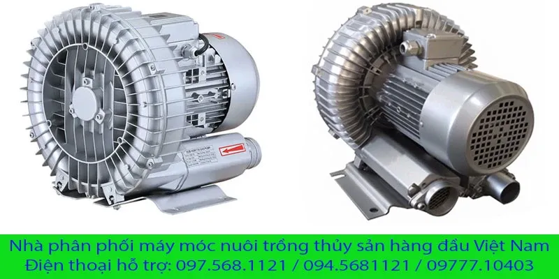 Máy thổi khí con sò chuyên dụng tạo oxy hòa tan trong nuôi trồng thủy sản