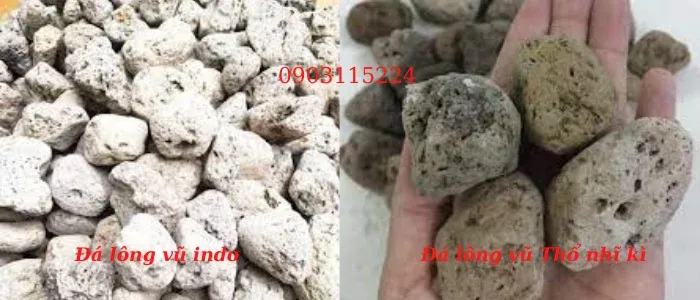 So sánh đặc điểm đá lông vũ Indo và Thổ Nhĩ Kỳ