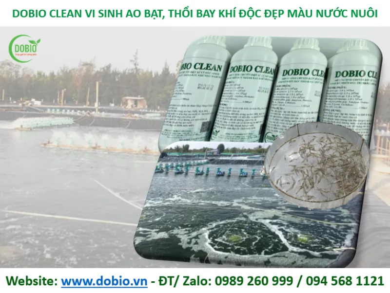 Men vi sinh Dobio Clean chuyên xử lý nhớt đáy bạt
