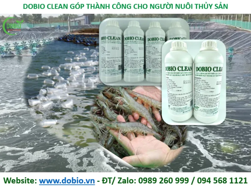 Cải thiện hiệu quả nuôi trồng thủy sản khi dùng men vi sinh Dobio Clean