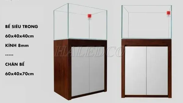 Hồ thủy sinh 60x40x40 đặt trên chân bể bằng gỗ sồi