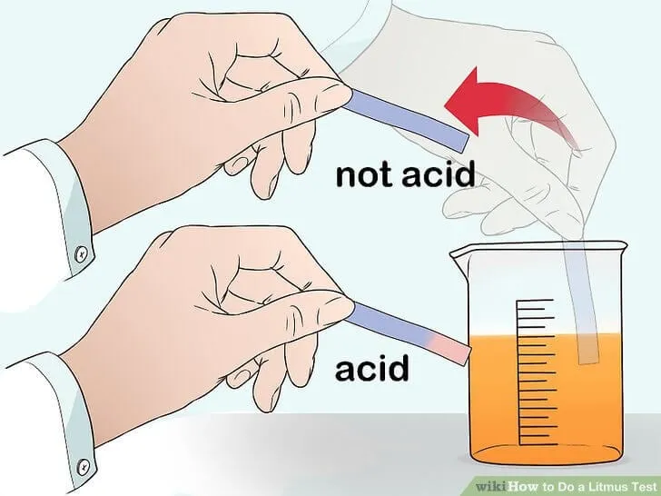 Giấy quỳ tím dùng để kiểm tra tính axit của nước hồ cá