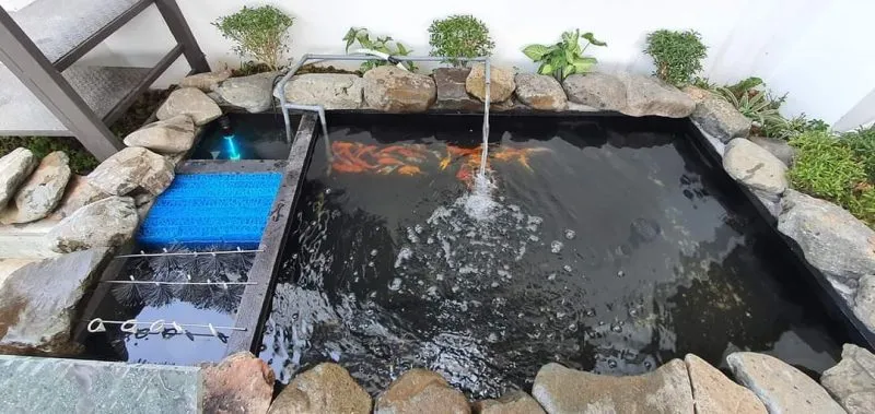 Sơ đồ chi tiết hệ thống lọc nước quan trọng của hồ cá Koi