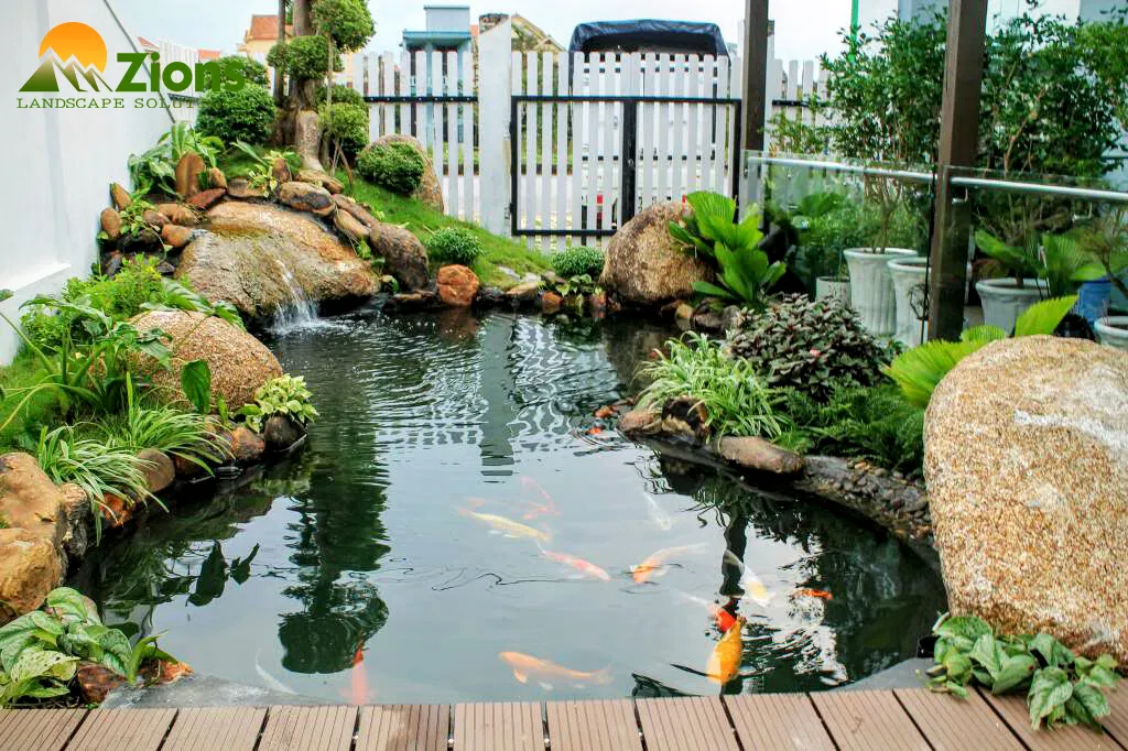 Hồ cá Koi ngoài trời có thác nước
