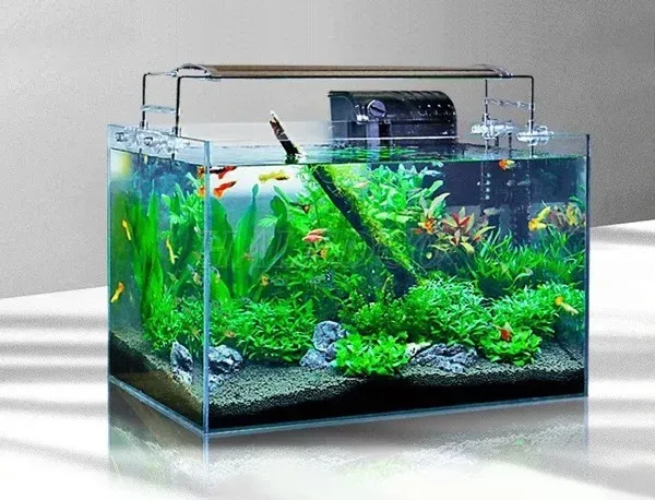 Mẫu hồ thủy sinh 60x40x40 sử dụng kính siêu trong