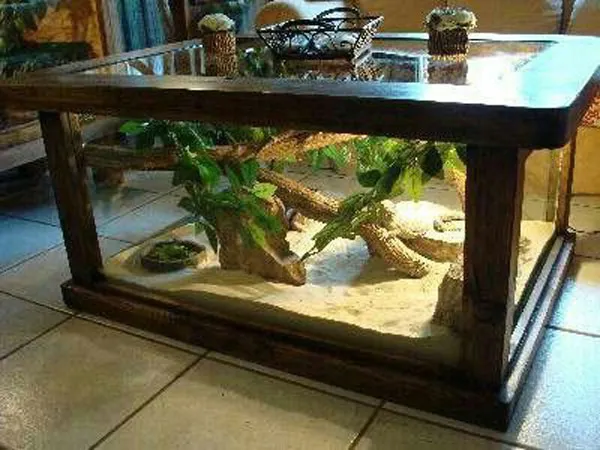 Hồ thủy sinh bàn uống nước rất cá tính, mang lại sự độc lạ cho phòng khách