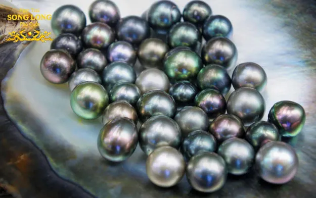 Mô tả chung về ngọc trai đen tự nhiên và vẻ đẹp huyền bí của nó