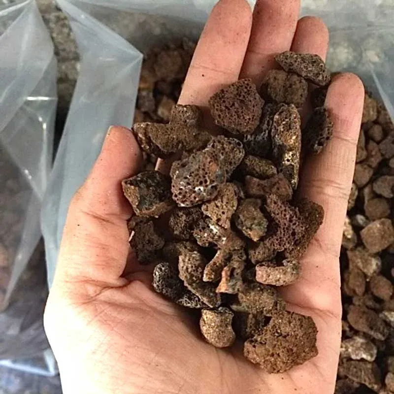 Nham thạch đỏ và đen - Vật liệu lọc sinh học giá rẻ cho bể cá