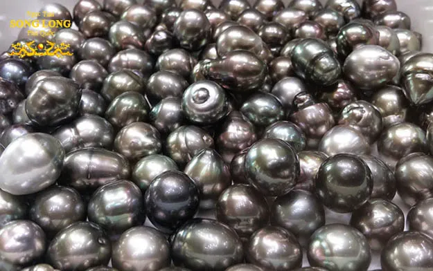 Màu sắc của ngọc trai được hình thành dựa trên xà cừ bên trong vỏ hàu