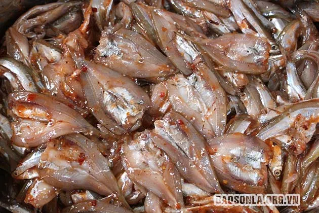 Cá tép dầu được ướp gia vị đặc trưng của địa phương trước khi phơi khô