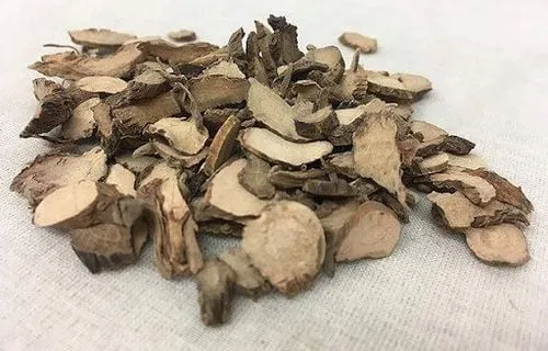 Cây thạch xương bồ được dùng trong một số bài thuốc Đông Y