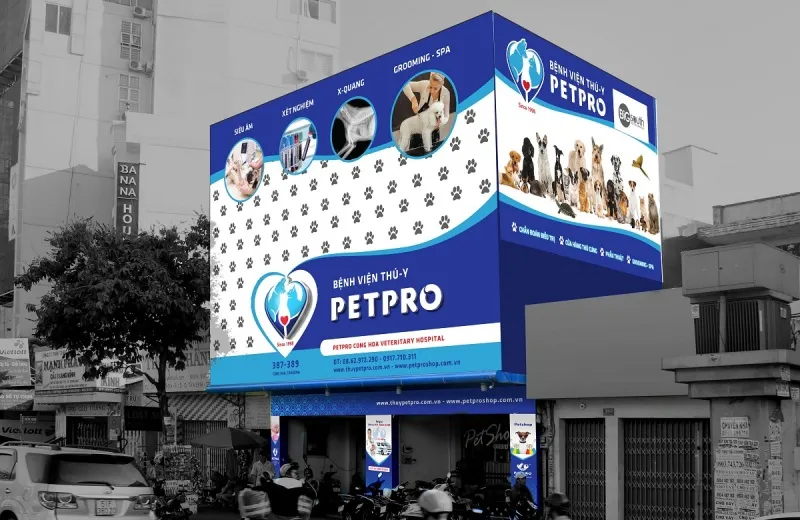 Tổng hợp các địa chỉ phòng khám thú y và pet shop uy tín tại TP.HCM