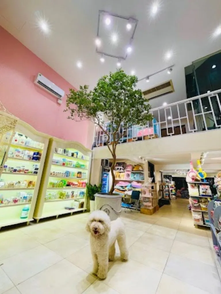 Danh sách chi tiết các cửa hàng thú cưng và phòng khám thú y theo từng quận