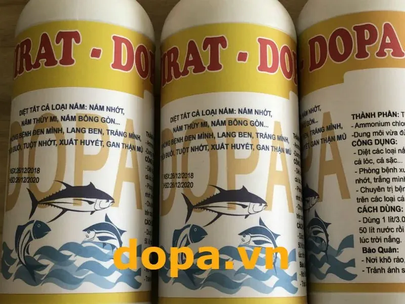 Sử dụng ANIRAT-DOPA hữu hiệu trong trị nấm thủy mi và thối mang cho cá