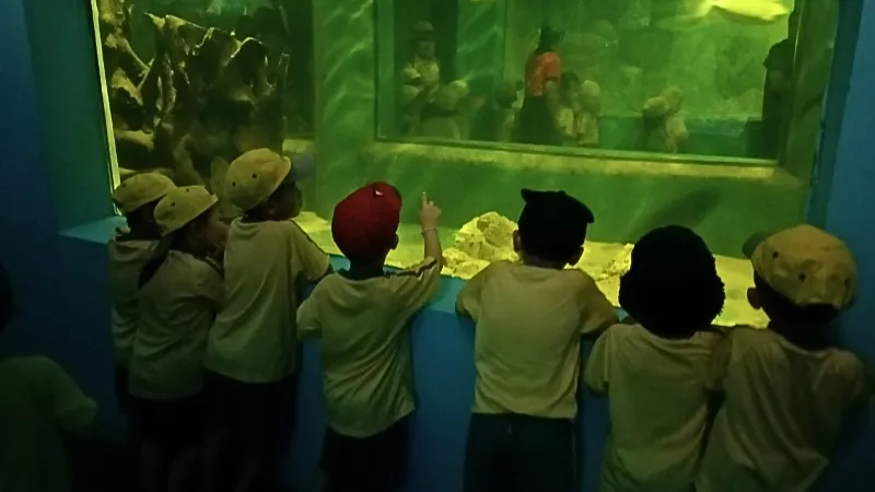 Hình ảnh tổng quan khu vực Thủy cung tại Công viên Văn hóa Đầm Sen