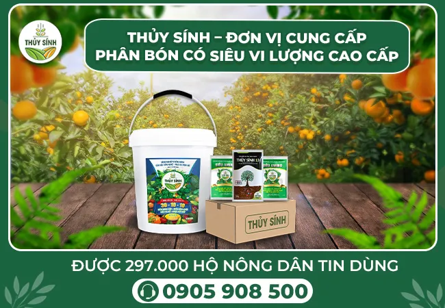 Thủy Sinh – Đơn vị cung cấp phân bón có Siêu vi lượng cao cấp