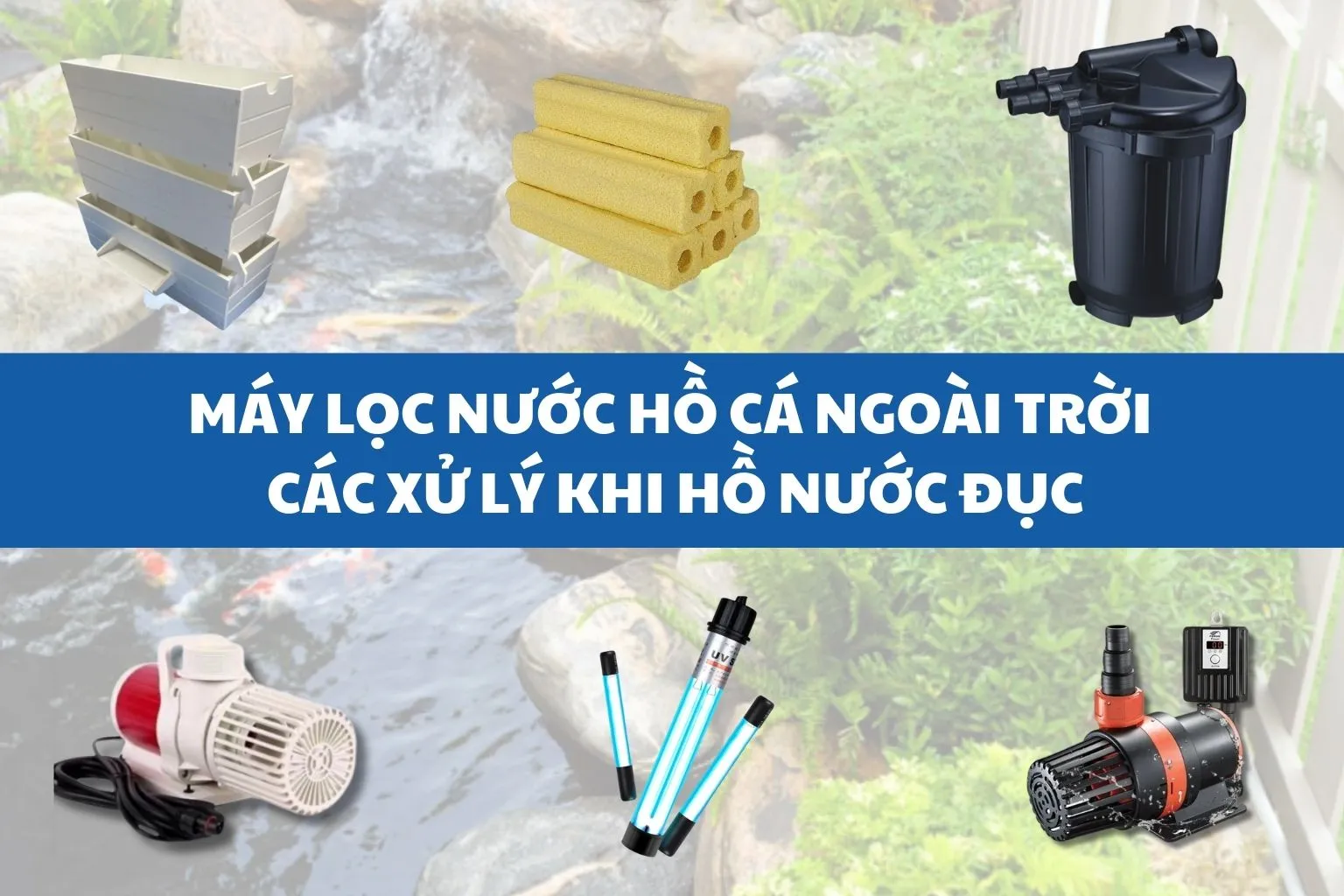 Hệ thống máy lọc hồ cá ngoài trời giúp nước trong sạch, ngăn ngừa rêu tảo.