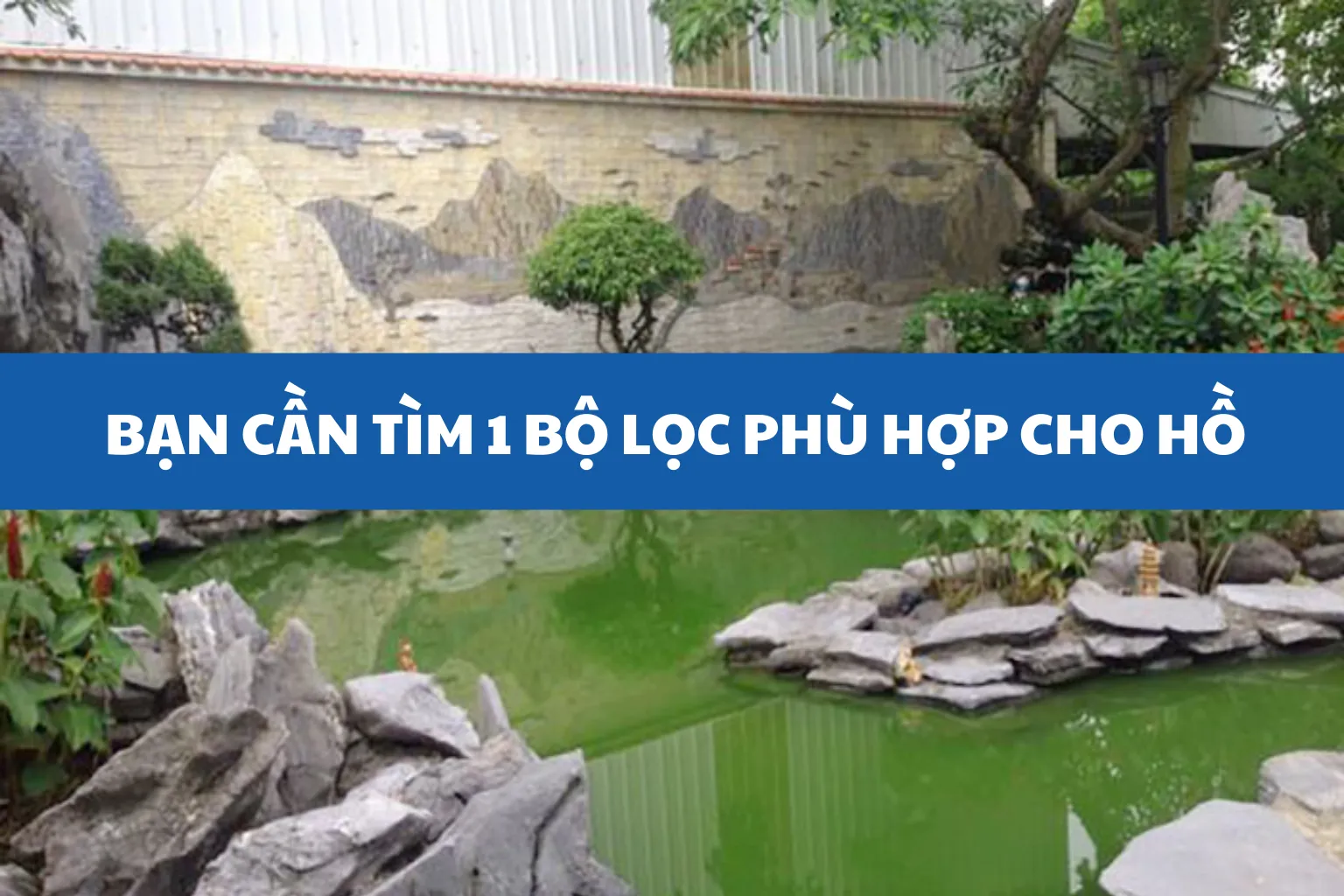 Cần tìm bộ lọc làm nước hồ trong hơn