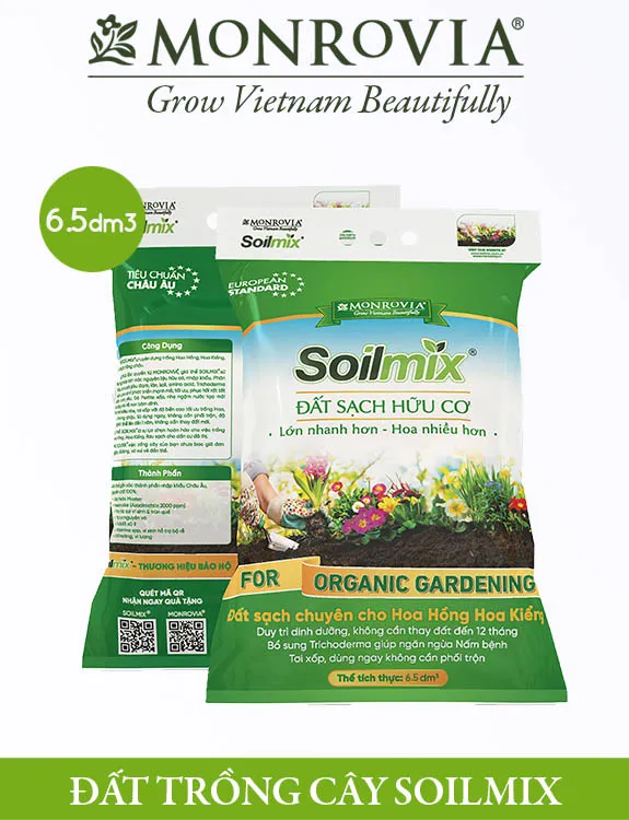 Đất trồng cây Soilmix phù hợp cho cây lưỡi hổ trong nhà