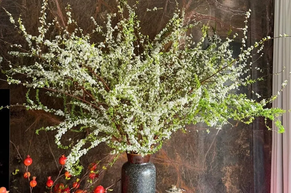 Hoa đua sắc thắm, thanh thuần nở rộ sáng rực một góc phòng