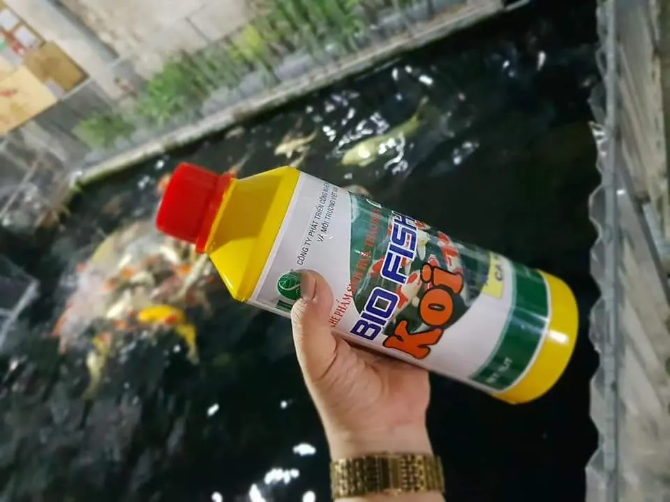 Men vi sinh Bio Fish được sử dụng cho cả hồ cá KOI và các loại cá cảnh khác