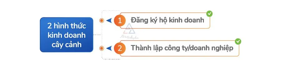 Ảnh minh họa quy trình đăng ký kinh doanh cho cửa hàng cây cảnh