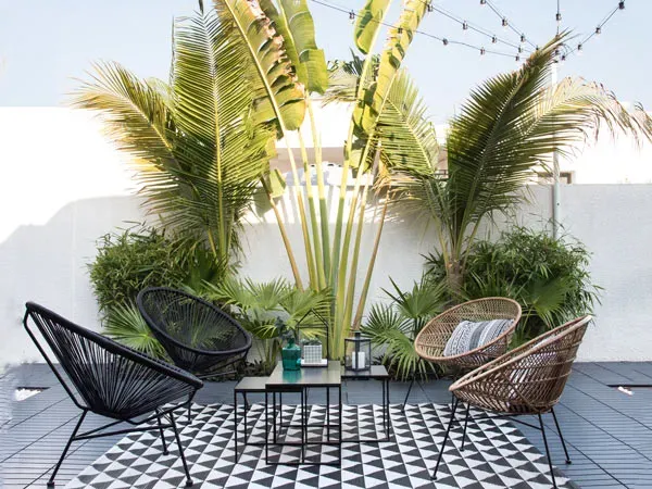 Cây chuối cảnh giúp khu vườn bạn có điểm nhấn thú vị