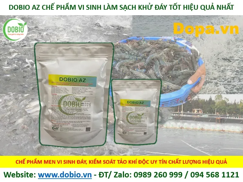 Chế phẩm vi sinh làm sạch và khử mùi đáy ao nuôi tôm cá, áp dụng cho hồ thủy sinh