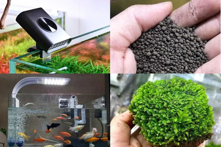 Dụng cụ làm hồ thủy sinh cơ bản.