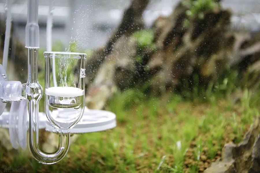 Lắp đặt hệ thống lọc và bơm khí CO2.