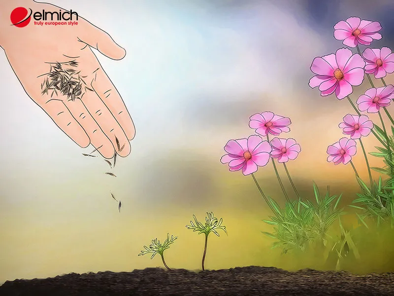 Lựa chọn và bảo quản hạt giống hoa cánh bướm chất lượng tốt