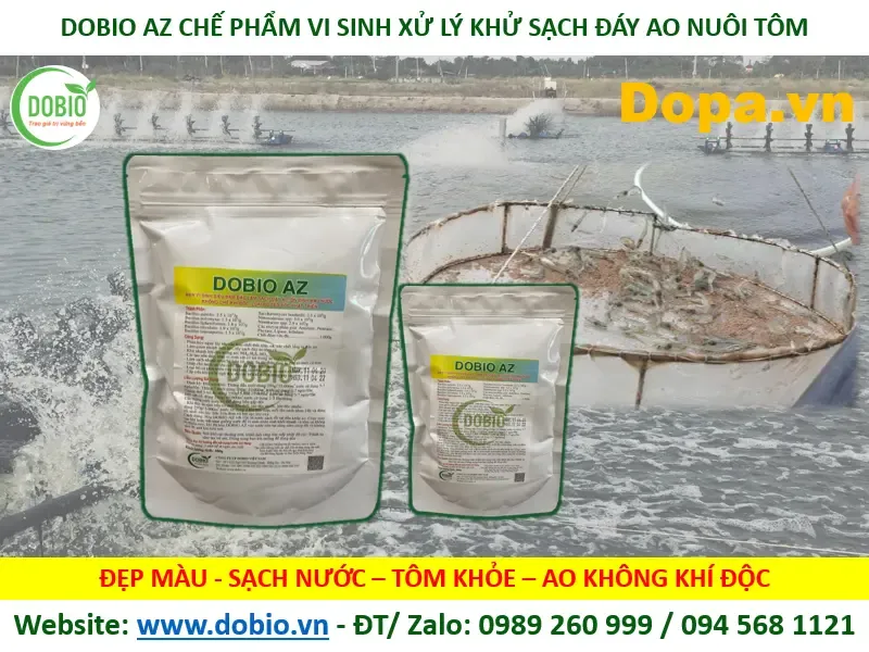 Men vi sinh chuyên xử lý đáy và khử khí độc cho hồ nuôi trồng thủy sản, áp dụng cho hồ thủy sinh