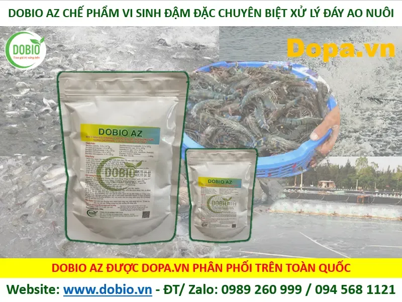 Vi sinh xử lý đáy hồ thủy sinh giúp phân hủy bùn và chất thải hữu cơ