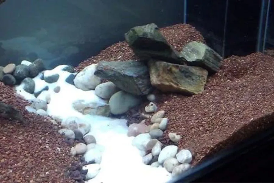 Phân nền công nghiệp cho hồ thủy sinh.