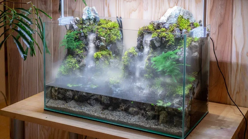 Aquaterrarium kết hợp cả môi trường nước và cạn
