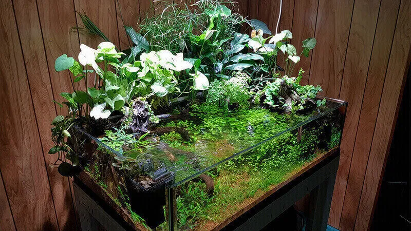 Riparium mô phỏng một đoạn bờ sông